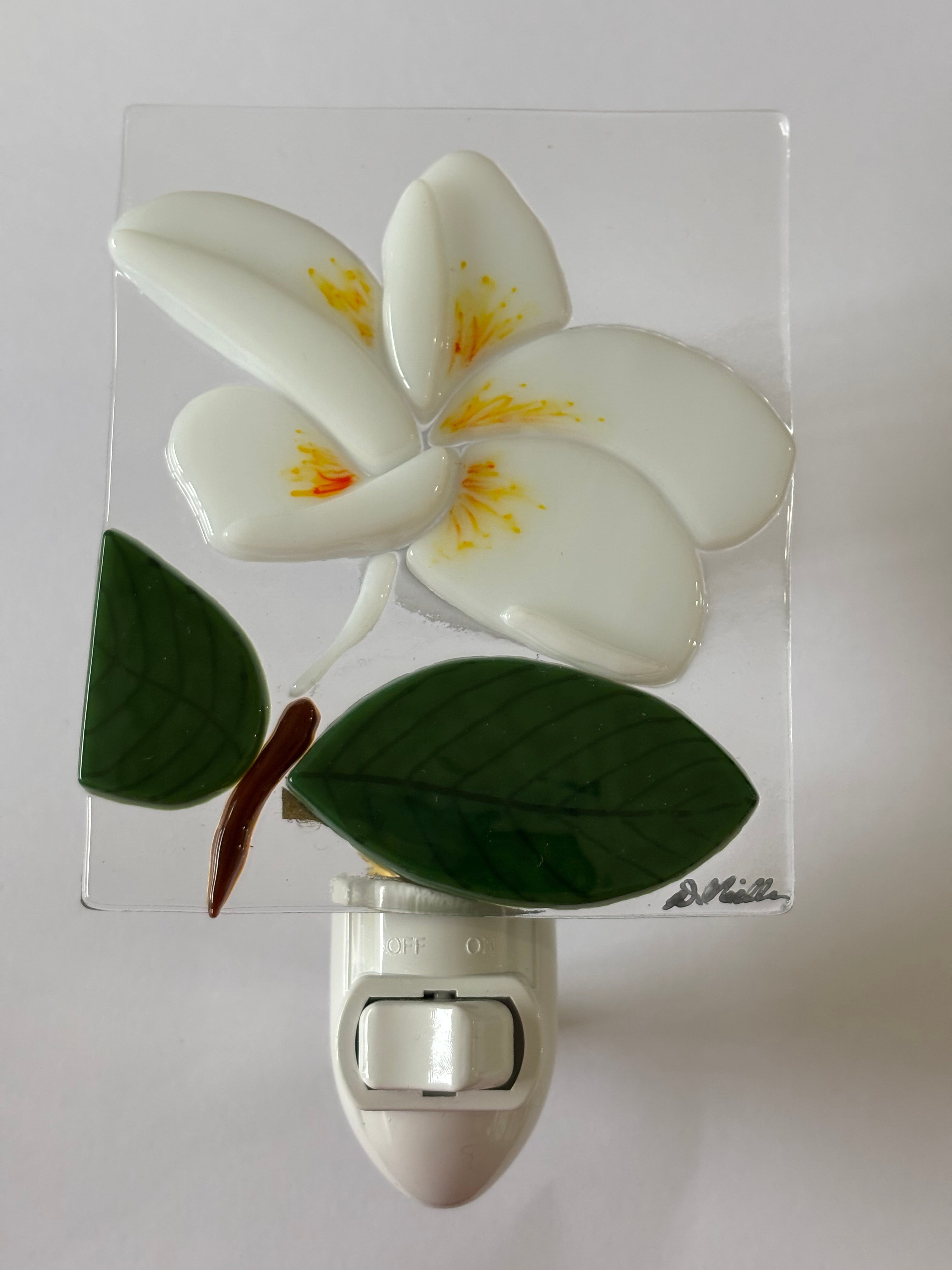 Plumeria Nighlight